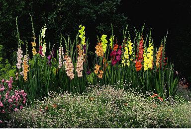 《喷射战士3》DLC“Side Order”2月22日推出 预告发布